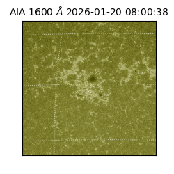 saia - 2026-01-20T08:00:38.126000