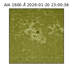 saia - 2026-01-20T23:00:38.132000