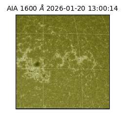saia - 2026-01-20T13:00:14.126000