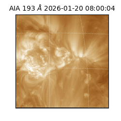 saia - 2026-01-20T08:00:04.846000