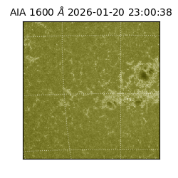 saia - 2026-01-20T23:00:38.132000