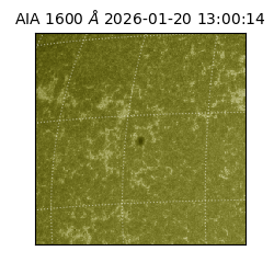 saia - 2026-01-20T13:00:14.126000