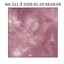 saia - 2026-01-20T08:00:09.625000