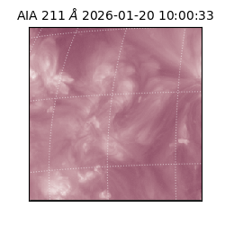 saia - 2026-01-20T10:00:33.631000