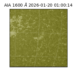 saia - 2026-01-20T01:00:14.126000