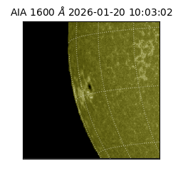 saia - 2026-01-20T10:03:02.125000