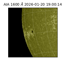 saia - 2026-01-20T19:00:14.126000