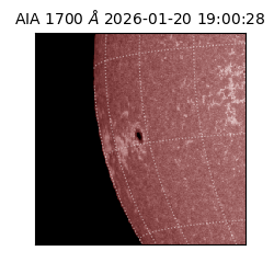 saia - 2026-01-20T19:00:28.717000