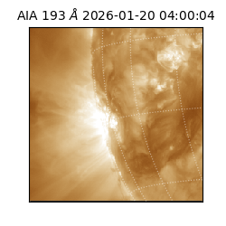 saia - 2026-01-20T04:00:04.843000