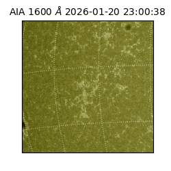 saia - 2026-01-20T23:00:38.132000