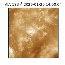 saia - 2026-01-20T14:00:04.843000