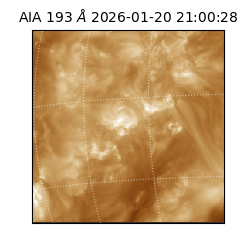 saia - 2026-01-20T21:00:28.835000