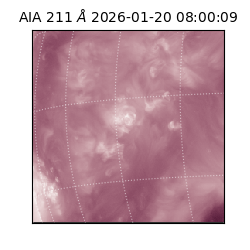 saia - 2026-01-20T08:00:09.625000