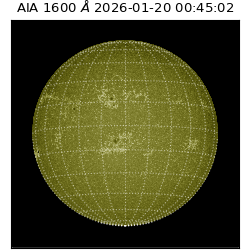 saia - 2026-01-20T00:45:02.129000