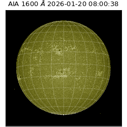 saia - 2026-01-20T08:00:38.126000
