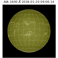 saia - 2026-01-20T09:06:14.131000