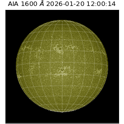 saia - 2026-01-20T12:00:14.117000