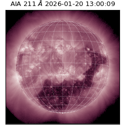 saia - 2026-01-20T13:00:09.626000