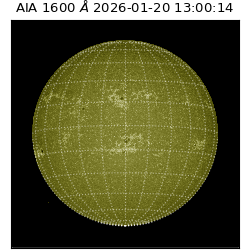 saia - 2026-01-20T13:00:14.126000