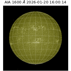 saia - 2026-01-20T16:00:14.129000