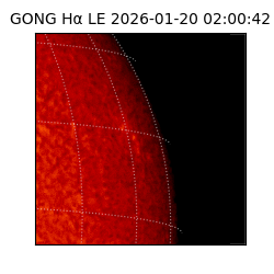 gong - 2026-01-20T02:00:42
