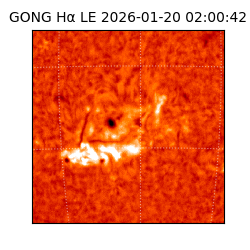 gong - 2026-01-20T02:00:42