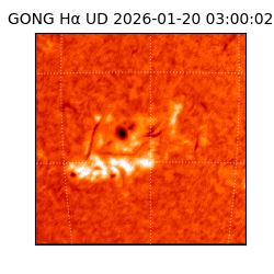 gong - 2026-01-20T03:00:02