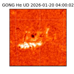 gong - 2026-01-20T04:00:02