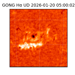 gong - 2026-01-20T05:00:02