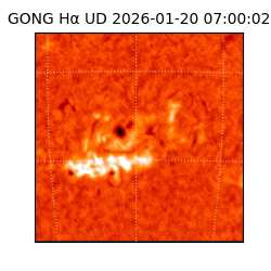gong - 2026-01-20T07:00:02