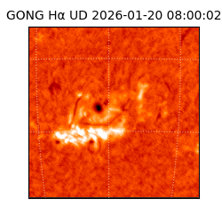 gong - 2026-01-20T08:00:02