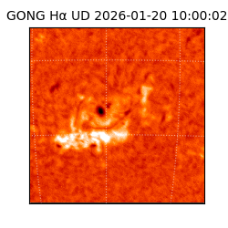 gong - 2026-01-20T10:00:02