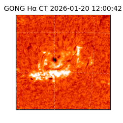 gong - 2026-01-20T12:00:42