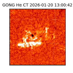 gong - 2026-01-20T13:00:42