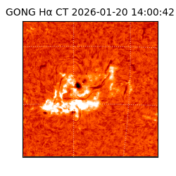 gong - 2026-01-20T14:00:42