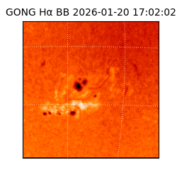 gong - 2026-01-20T17:02:02