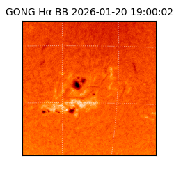 gong - 2026-01-20T19:00:02