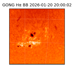 gong - 2026-01-20T20:00:02