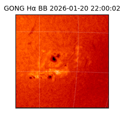 gong - 2026-01-20T22:00:02