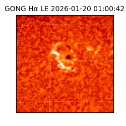 gong - 2026-01-20T01:00:42