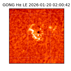 gong - 2026-01-20T02:00:42