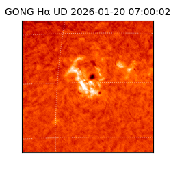 gong - 2026-01-20T07:00:02