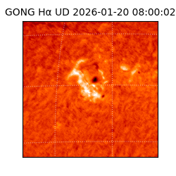 gong - 2026-01-20T08:00:02