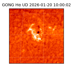 gong - 2026-01-20T10:00:02