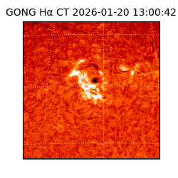 gong - 2026-01-20T13:00:42