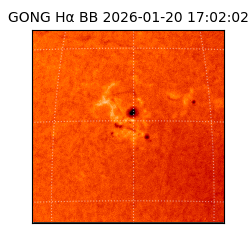 gong - 2026-01-20T17:02:02