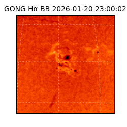 gong - 2026-01-20T23:00:02