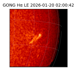 gong - 2026-01-20T02:00:42