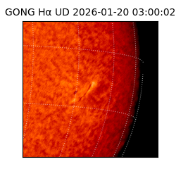 gong - 2026-01-20T03:00:02