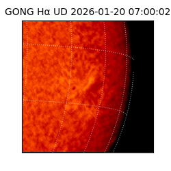 gong - 2026-01-20T07:00:02